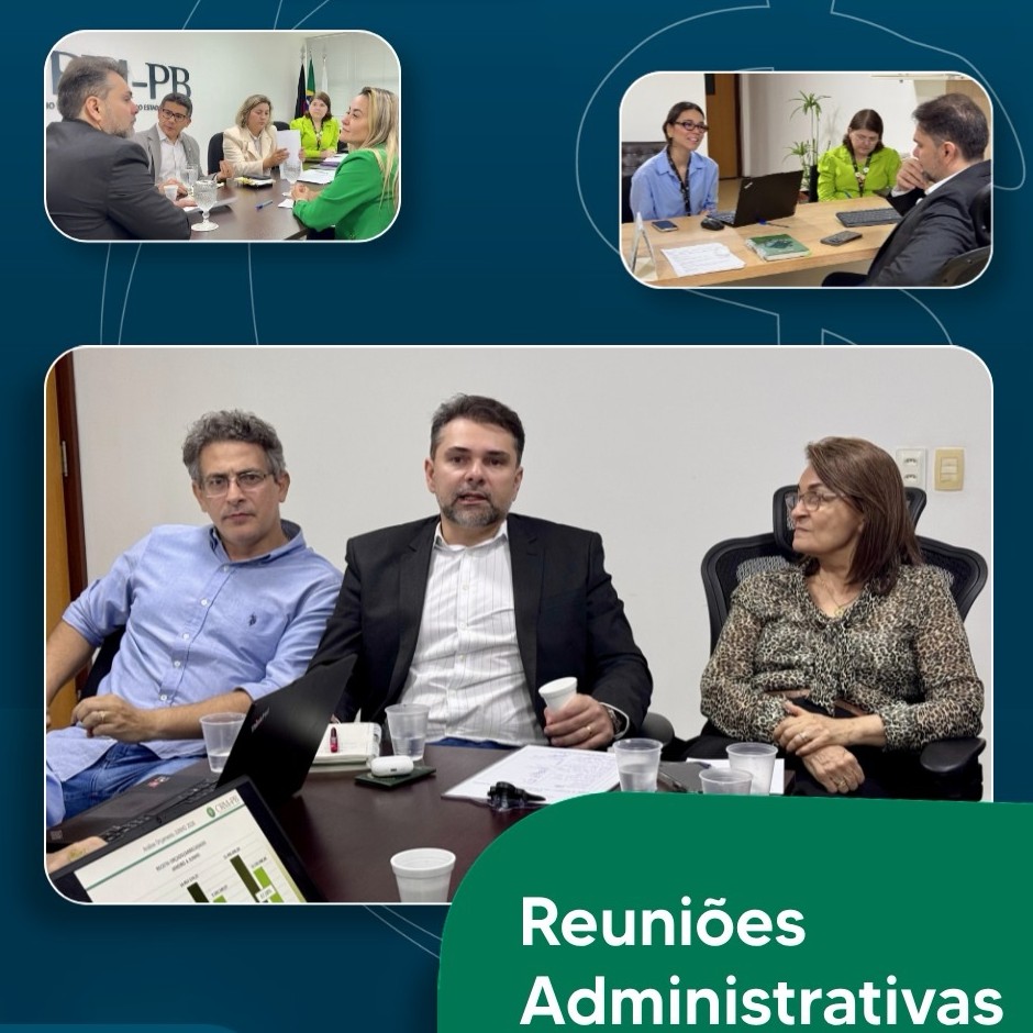 Notícia 4