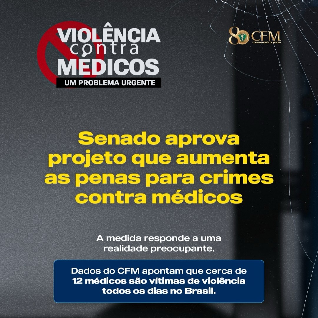 Notícia 8