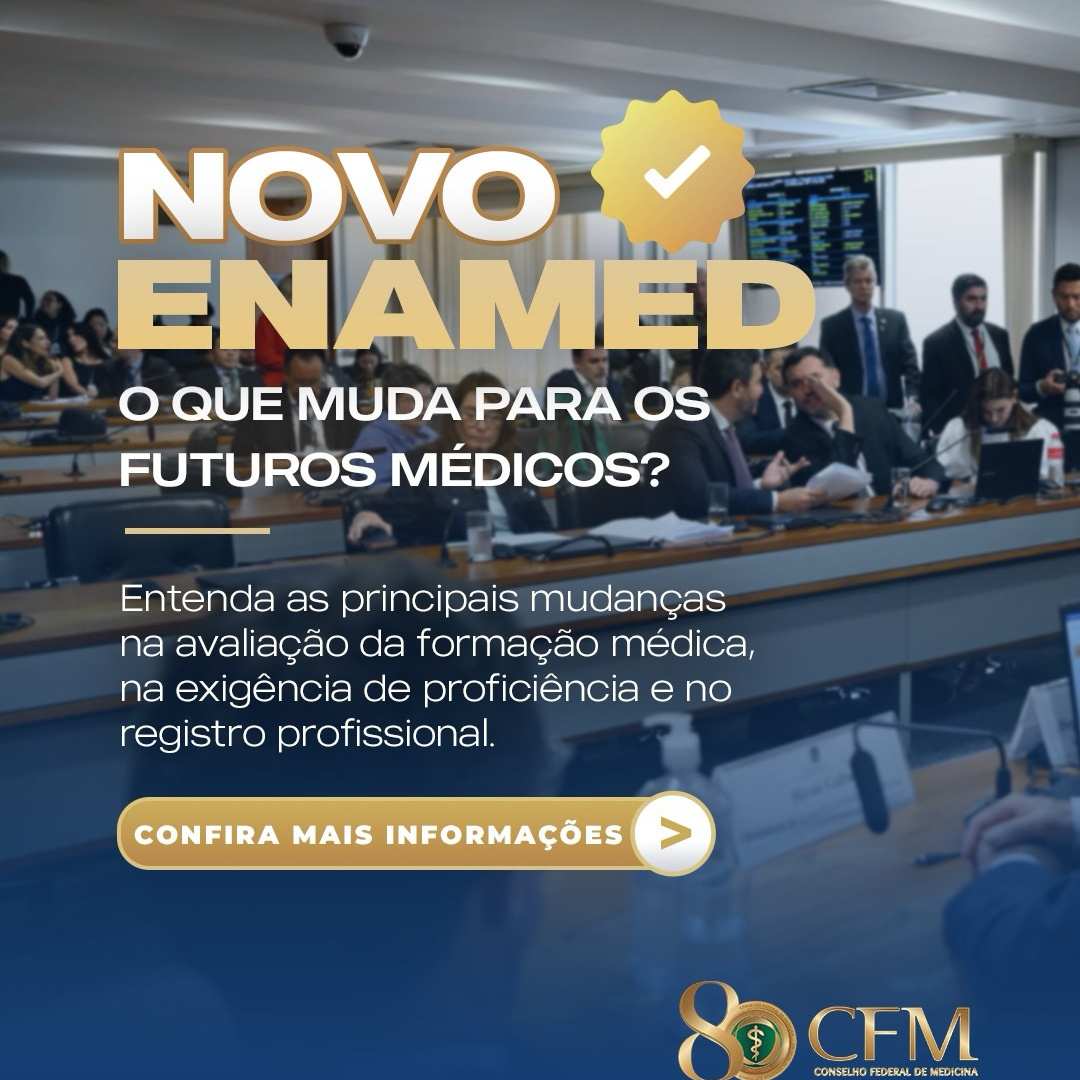 Notícia 10