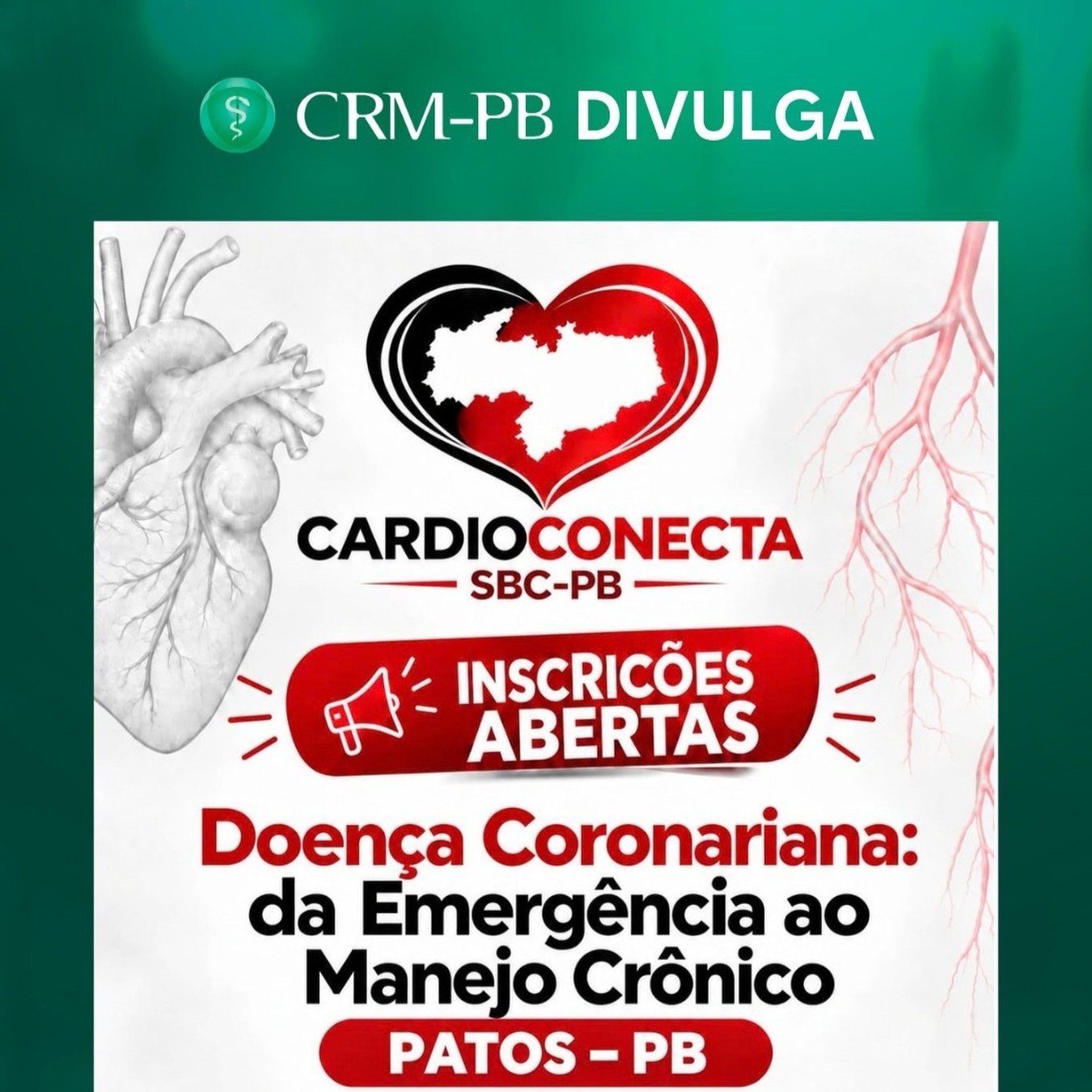 Notícia 13