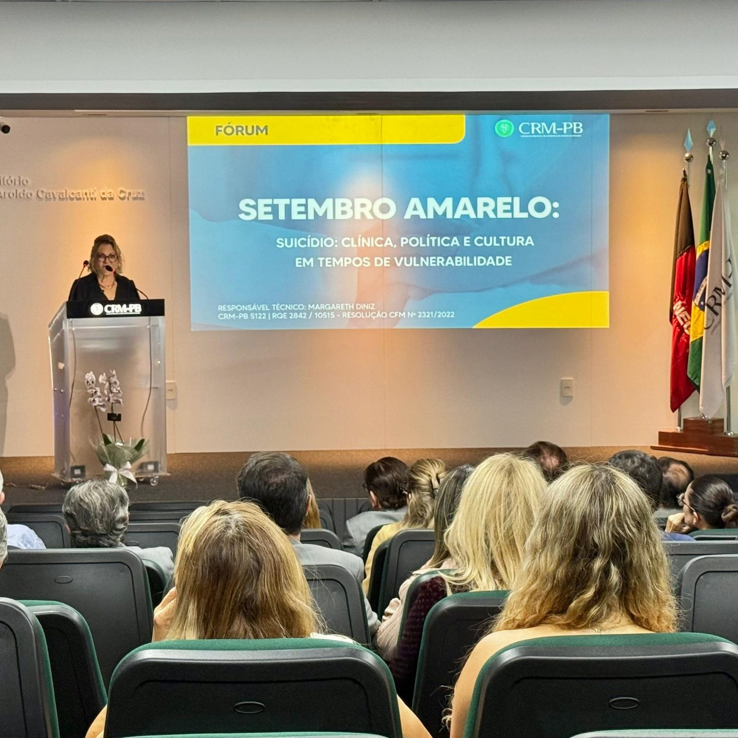 Notícia 3